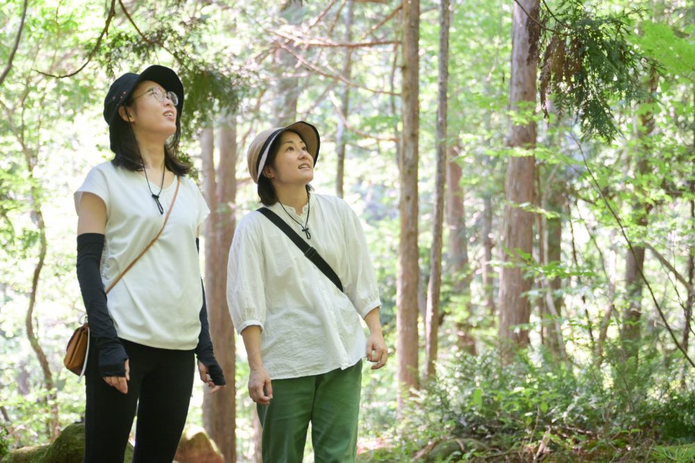 木曽「阿寺渓谷」をめぐる大満足の女子旅！癒しの絶景とおすすめ紹介｜Skima信州コラボ記事